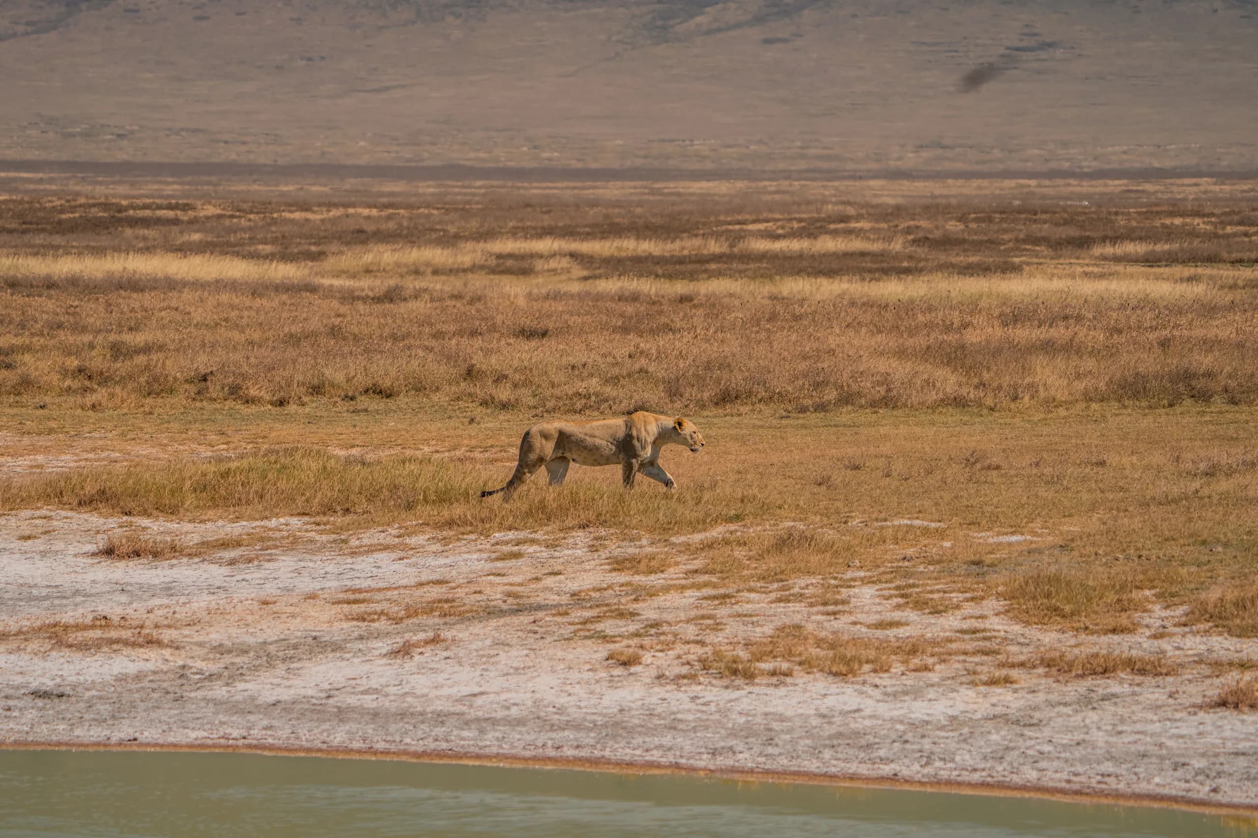 Lake and woodland landscape typical of Lake Manyara