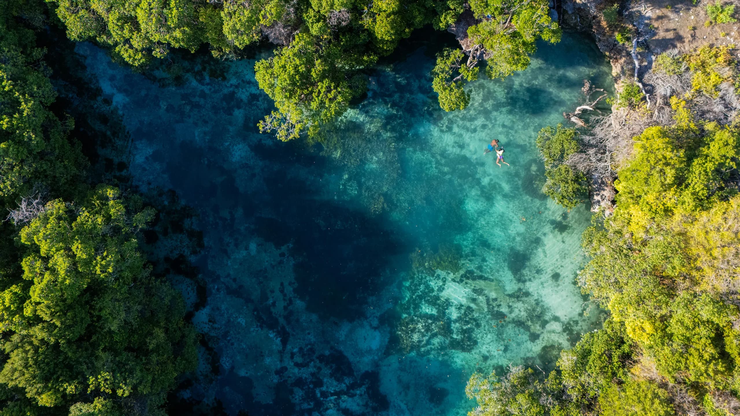 Aerial view of a turquoise lagoon fringed by mangrove forest